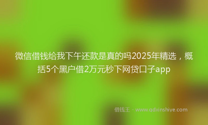 微信借钱给我下午还款是真的吗2025年精选，概括5个黑户借2万元秒下网贷口子app