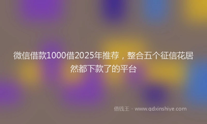 微信借款1000借2025年推荐，整合五个征信花居然都下款了的平台