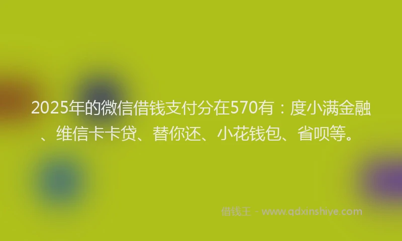 2025年的微信借钱支付分在570有：度小满金融、维信卡卡贷、替你还、小花钱包、省呗等。