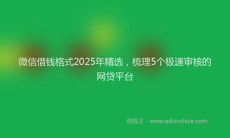 微信借钱格式2025年精选，梳理5个极速审核的网贷平台