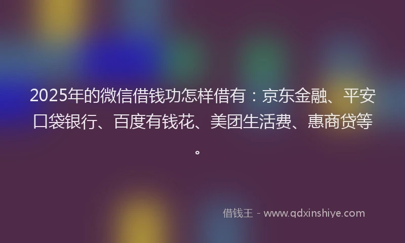 2025年的微信借钱功怎样借有：京东金融、平安口袋银行、百度有钱花、美团生活费、惠商贷等。