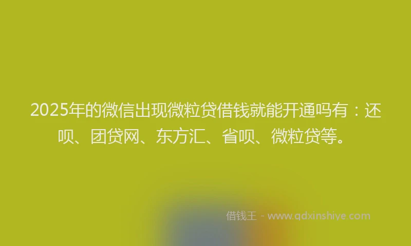 2025年的微信出现微粒贷借钱就能开通吗有：还呗、团贷网、东方汇、省呗、微粒贷等。
