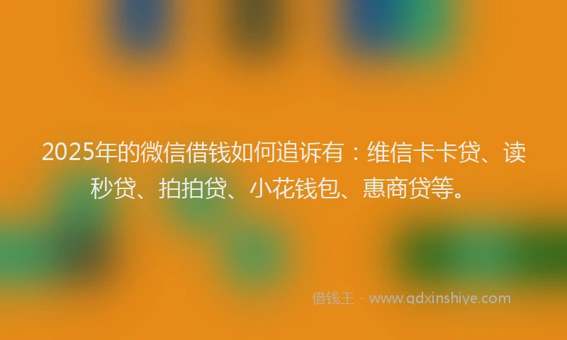 2025年的微信借钱如何追诉有：维信卡卡贷、读秒贷、拍拍贷、小花钱包、惠商贷等。