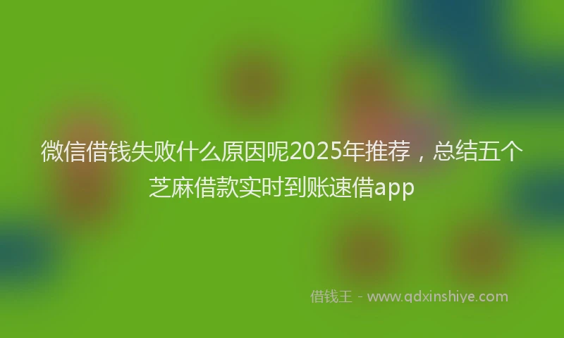 微信借钱失败什么原因呢2025年推荐，总结五个芝麻借款实时到账速借app