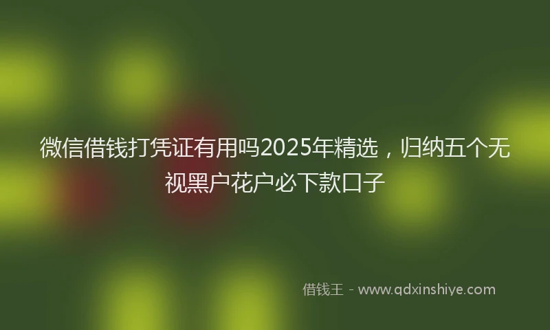 微信借钱打凭证有用吗2025年精选，归纳五个无视黑户花户必下款口子