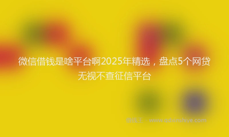 微信借钱是啥平台啊2025年精选，盘点5个网贷无视不查征信平台