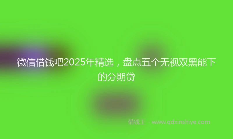 微信借钱吧2025年精选，盘点五个无视双黑能下的分期贷
