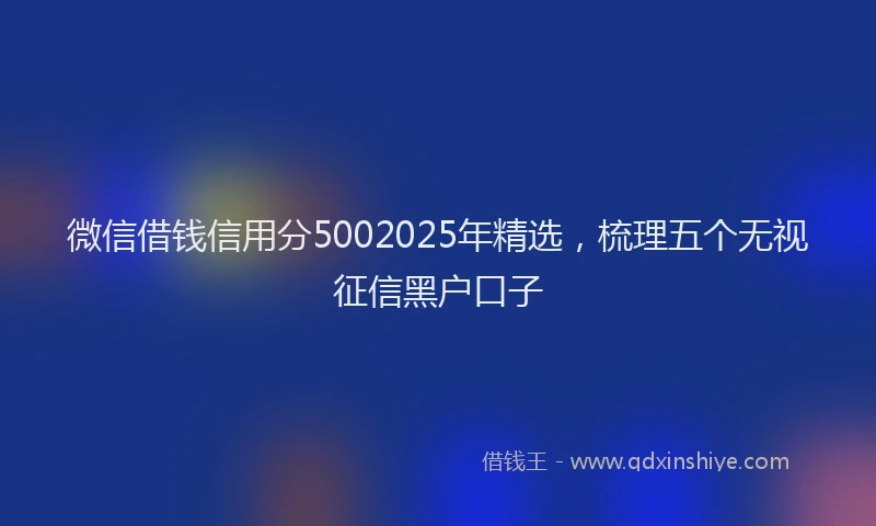 微信借钱信用分5002025年精选，梳理五个无视征信黑户口子