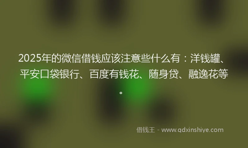 2025年的微信借钱应该注意些什么有：洋钱罐、平安口袋银行、百度有钱花、随身贷、融逸花等。