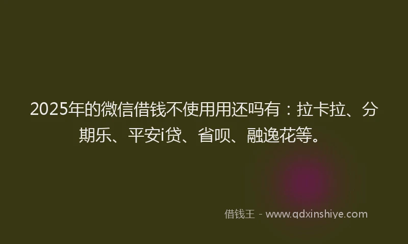 2025年的微信借钱不使用用还吗有：拉卡拉、分期乐、平安i贷、省呗、融逸花等。