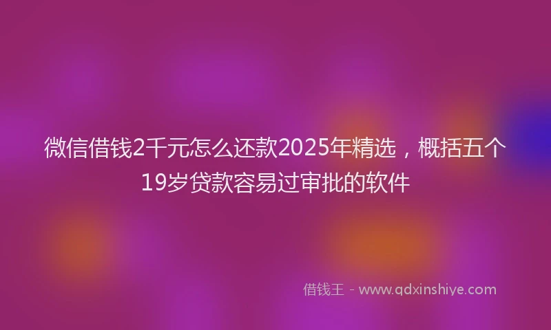 微信借钱2千元怎么还款2025年精选，概括五个19岁贷款容易过审批的软件