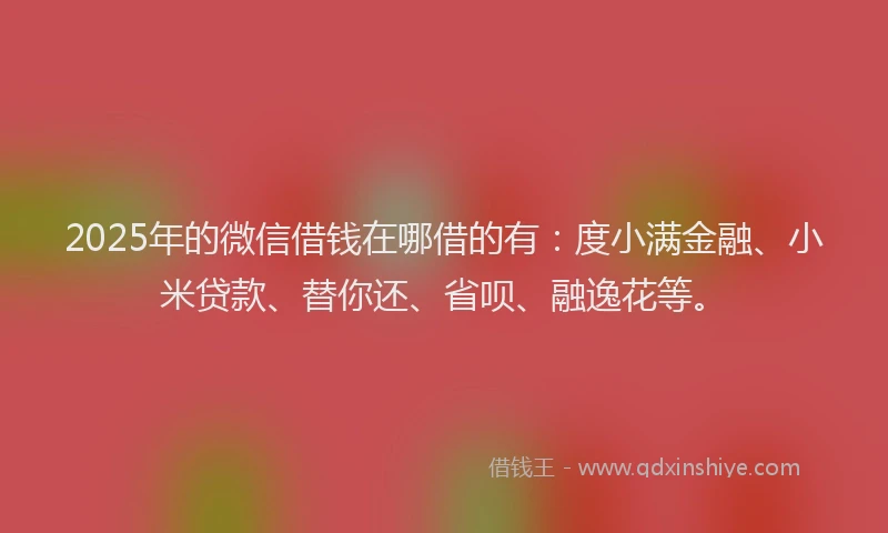 2025年的微信借钱在哪借的有：度小满金融、小米贷款、替你还、省呗、融逸花等。