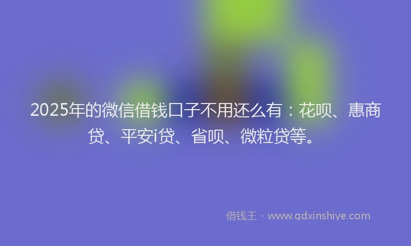 2025年的微信借钱口子不用还么有：花呗、惠商贷、平安i贷、省呗、微粒贷等。