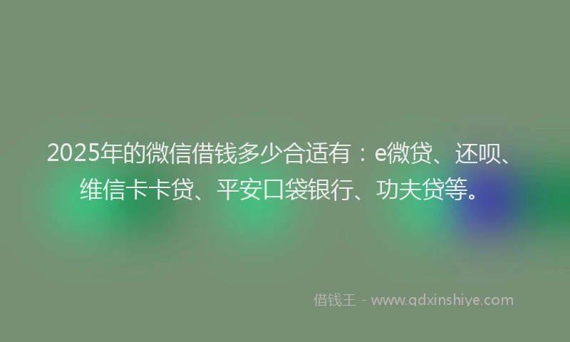 2025年的微信借钱多少合适有：e微贷、还呗、维信卡卡贷、平安口袋银行、功夫贷等。