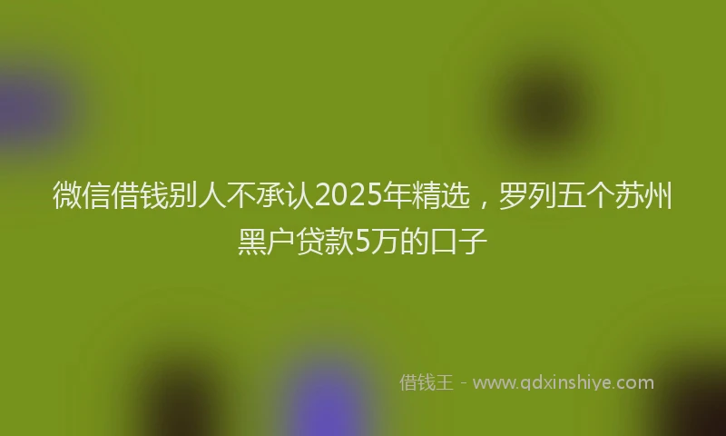 微信借钱别人不承认2025年精选，罗列五个苏州黑户贷款5万的口子