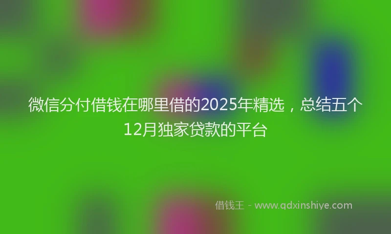 微信分付借钱在哪里借的2025年精选，总结五个12月独家贷款的平台