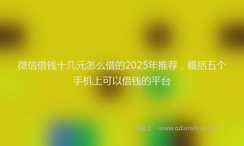 微信借钱十几元怎么借的2025年推荐，概括五个手机上可以借钱的平台