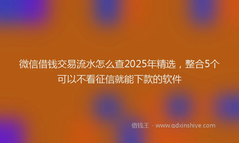 微信借钱交易流水怎么查2025年精选，整合5个可以不看征信就能下款的软件