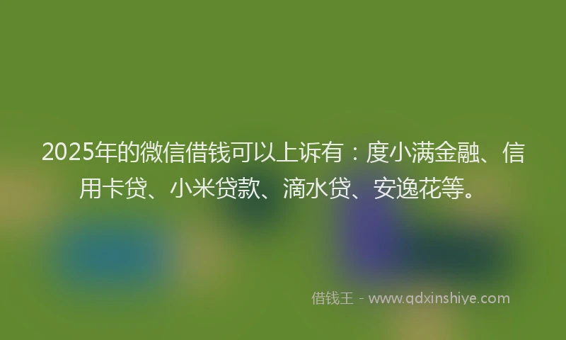 2025年的微信借钱可以上诉有：度小满金融、信用卡贷、小米贷款、滴水贷、安逸花等。