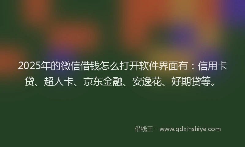 2025年的微信借钱怎么打开软件界面有：信用卡贷、超人卡、京东金融、安逸花、好期贷等。