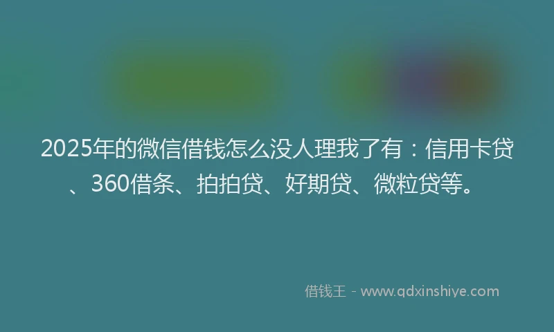 2025年的微信借钱怎么没人理我了有：信用卡贷、360借条、拍拍贷、好期贷、微粒贷等。