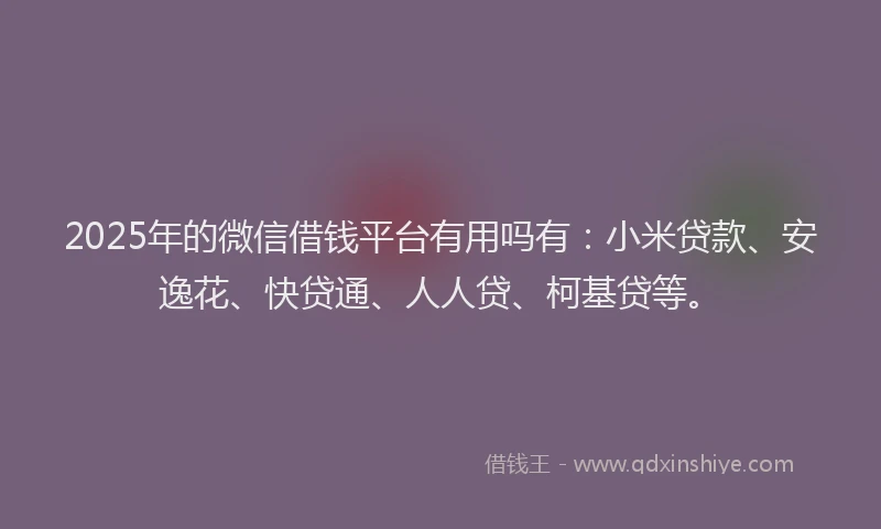 2025年的微信借钱平台有用吗有：小米贷款、安逸花、快贷通、人人贷、柯基贷等。