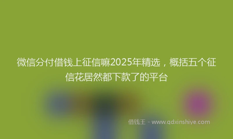 微信分付借钱上征信嘛2025年精选，概括五个征信花居然都下款了的平台