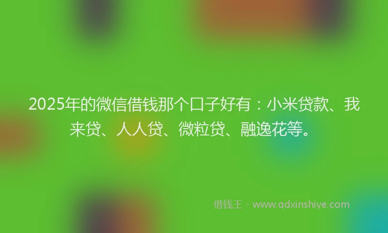 2025年的微信借钱那个口子好有：小米贷款、我来贷、人人贷、微粒贷、融逸花等。