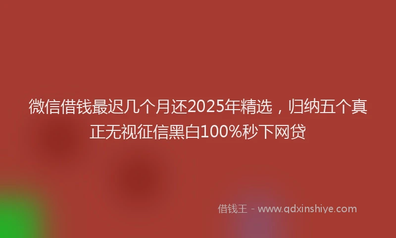 微信借钱最迟几个月还2025年精选，归纳五个真正无视征信黑白100%秒下网贷