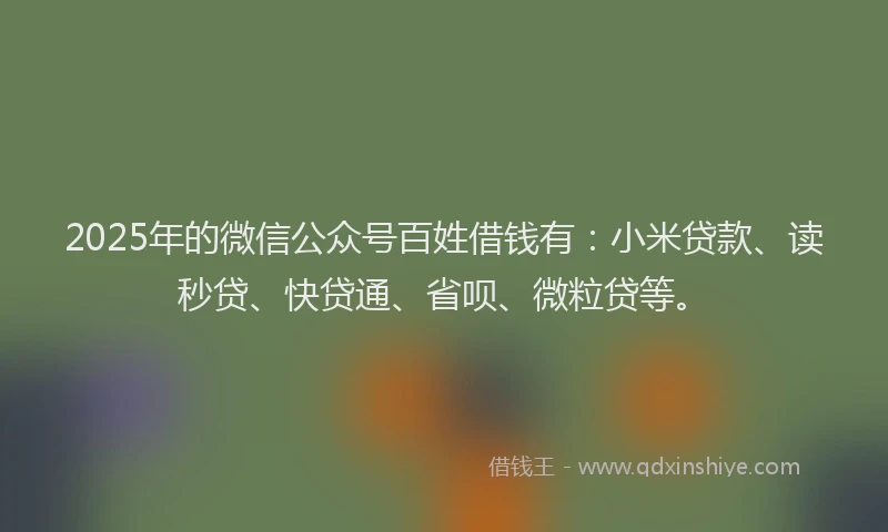 2025年的微信公众号百姓借钱有：小米贷款、读秒贷、快贷通、省呗、微粒贷等。