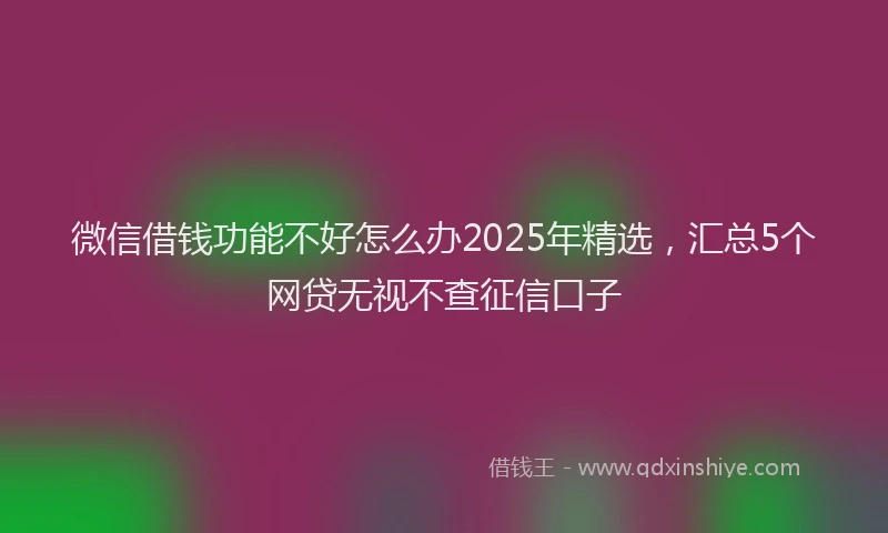 微信借钱功能不好怎么办2025年精选，汇总5个网贷无视不查征信口子