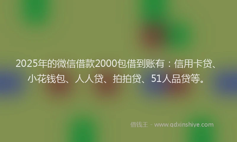2025年的微信借款2000包借到账有：信用卡贷、小花钱包、人人贷、拍拍贷、51人品贷等。