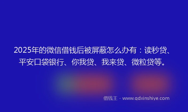 2025年的微信借钱后被屏蔽怎么办有：读秒贷、平安口袋银行、你我贷、我来贷、微粒贷等。