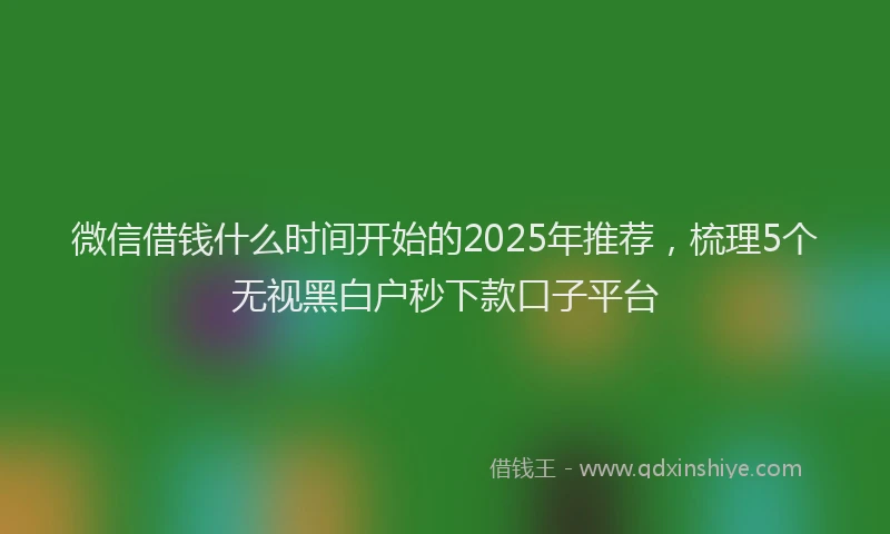 微信借钱什么时间开始的2025年推荐，梳理5个无视黑白户秒下款口子平台