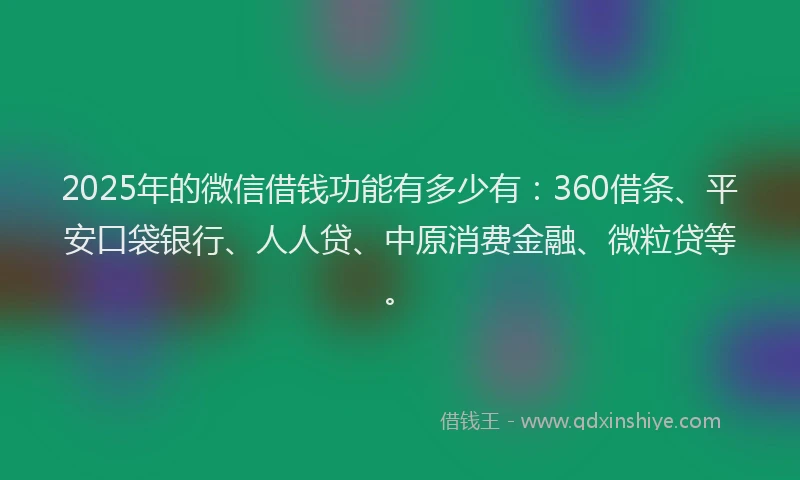 2025年的微信借钱功能有多少有：360借条、平安口袋银行、人人贷、中原消费金融、微粒贷等。