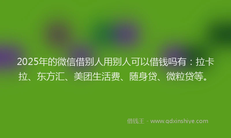 2025年的微信借别人用别人可以借钱吗有：拉卡拉、东方汇、美团生活费、随身贷、微粒贷等。