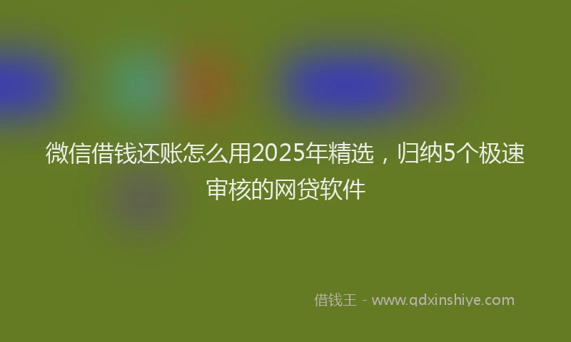 微信借钱还账怎么用2025年精选，归纳5个极速审核的网贷软件