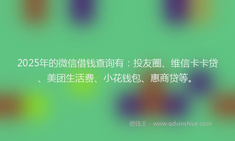 2025年的微信借钱查询有：投友圈、维信卡卡贷、美团生活费、小花钱包、惠商贷等。