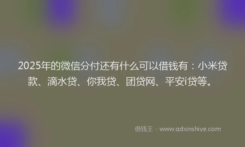 2025年的微信分付还有什么可以借钱有：小米贷款、滴水贷、你我贷、团贷网、平安i贷等。
