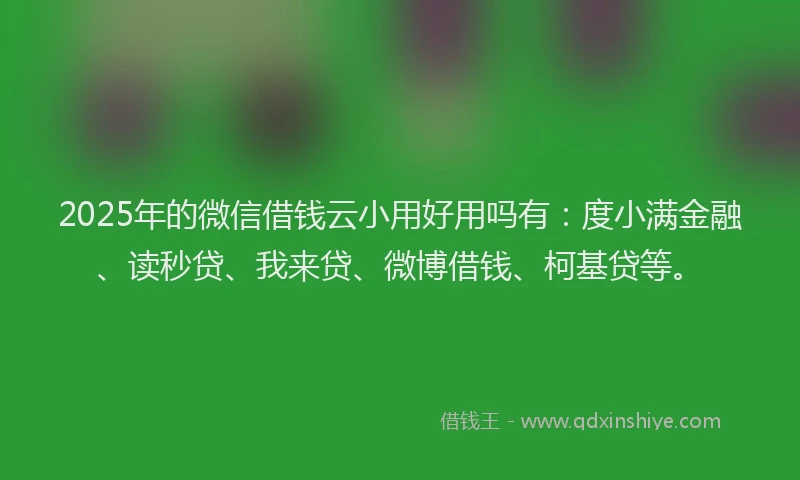 2025年的微信借钱云小用好用吗有：度小满金融、读秒贷、我来贷、微博借钱、柯基贷等。