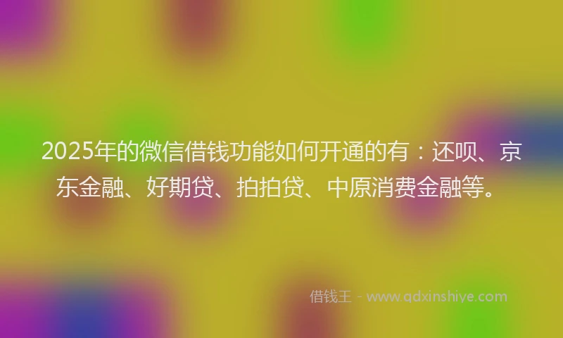 2025年的微信借钱功能如何开通的有：还呗、京东金融、好期贷、拍拍贷、中原消费金融等。