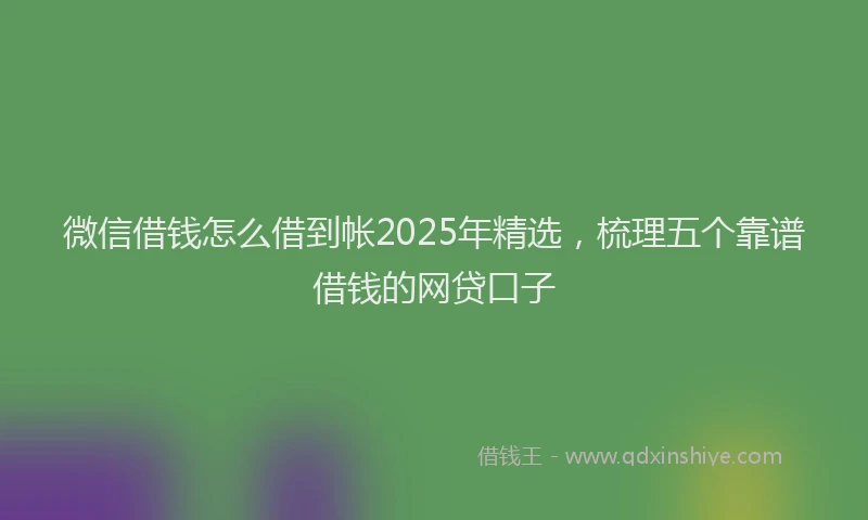 微信借钱怎么借到帐2025年精选，梳理五个靠谱借钱的网贷口子
