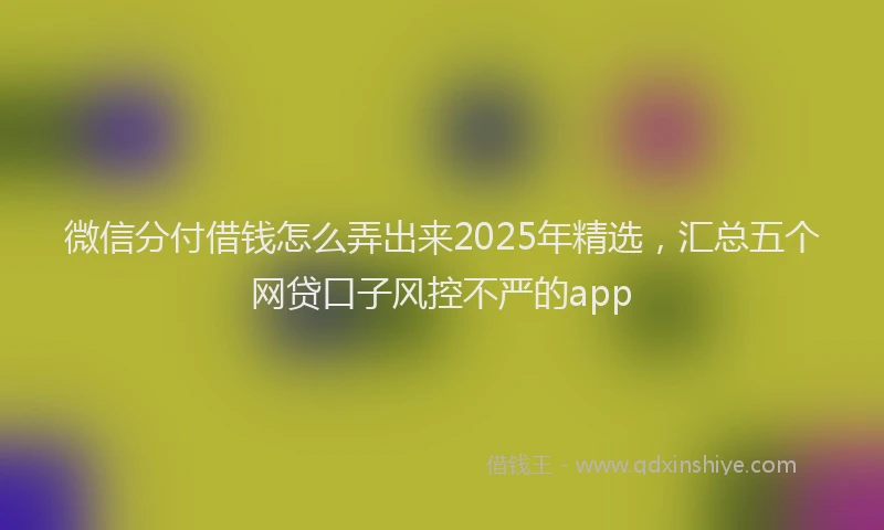 微信分付借钱怎么弄出来2025年精选，汇总五个网贷口子风控不严的app