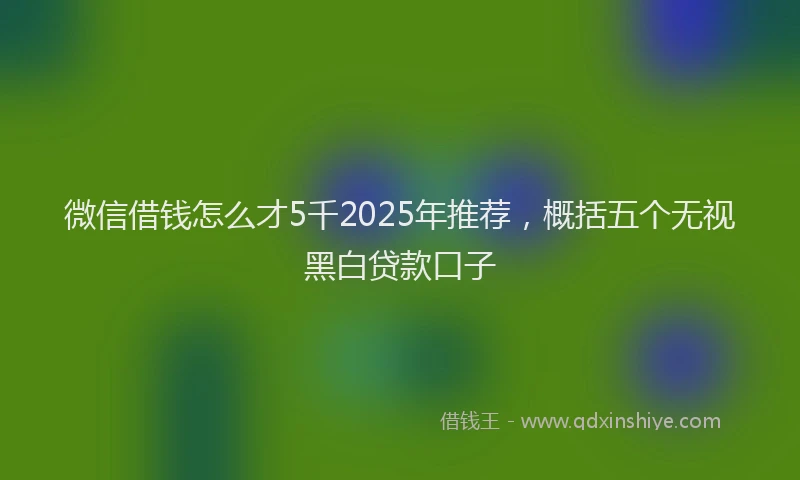 微信借钱怎么才5千2025年推荐，概括五个无视黑白贷款口子