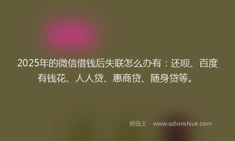 2025年的微信借钱后失联怎么办有：还呗、百度有钱花、人人贷、惠商贷、随身贷等。