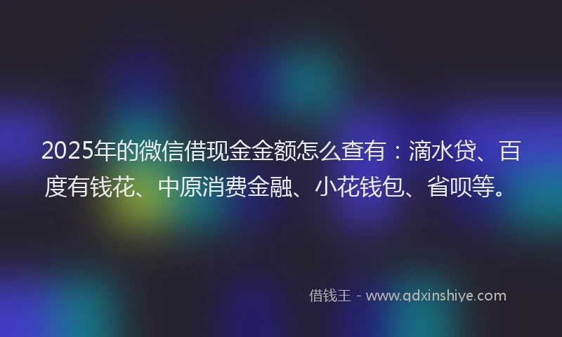 2025年的微信借现金金额怎么查有：滴水贷、百度有钱花、中原消费金融、小花钱包、省呗等。