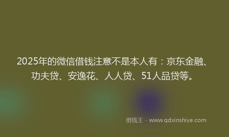 2025年的微信借钱注意不是本人有：京东金融、功夫贷、安逸花、人人贷、51人品贷等。