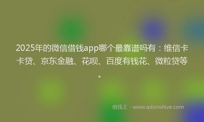 2025年的微信借钱app哪个最靠谱吗有：维信卡卡贷、京东金融、花呗、百度有钱花、微粒贷等。
