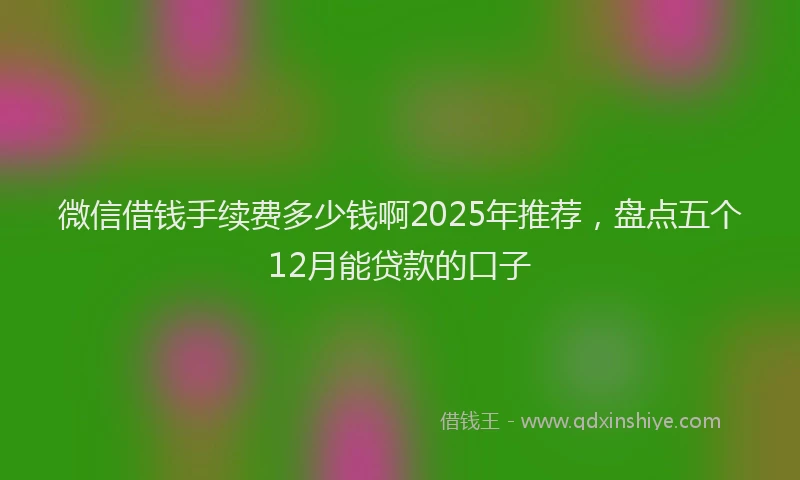 微信借钱手续费多少钱啊2025年推荐，盘点五个12月能贷款的口子