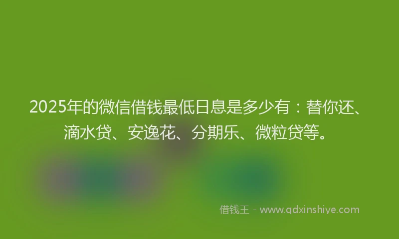 2025年的微信借钱最低日息是多少有：替你还、滴水贷、安逸花、分期乐、微粒贷等。